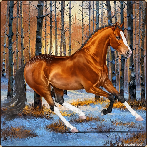 genpic.php?id=42820343&bg=132&decor=Y&v=51