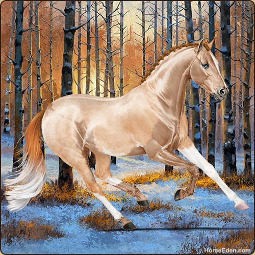 genpic.php?id=43093699&bg=132&decor=Y&v=8