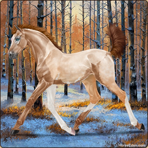 genpic.php?id=43093699&bg=132&decor=Y&v=9