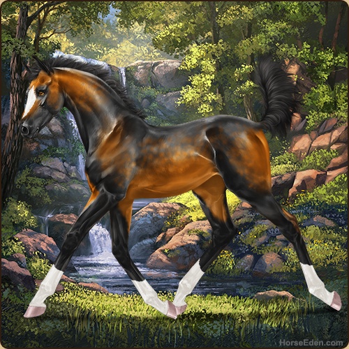 genpic.php?id=43296248&bg=56&decor=Y&v=2