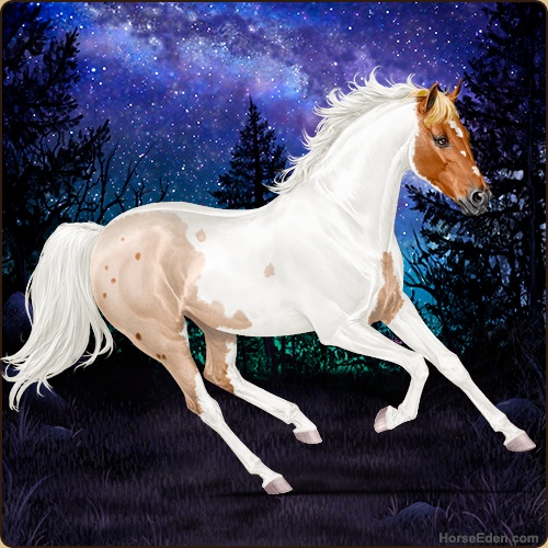 genpic.php?id=43466116&bg=79&decor=Y&v=14