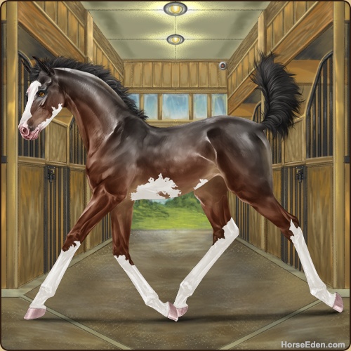 genpic.php?id=43738845&bg=79&decor=Y&v=1