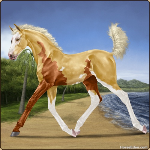 genpic.php?id=43756752&bg=58&decor=Y&v=10