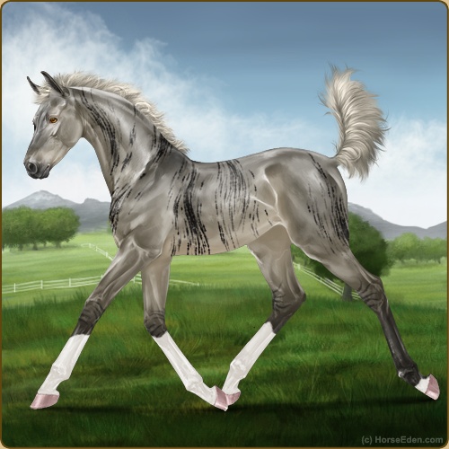 genpic.php?id=43915738&bg=56&decor=Y&v=1