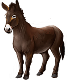 burro.png