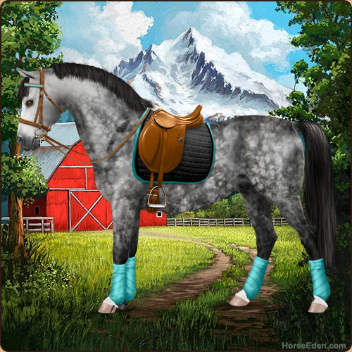 fun free horse game