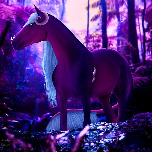 https://horseeden.com/horse.php?id=37701496