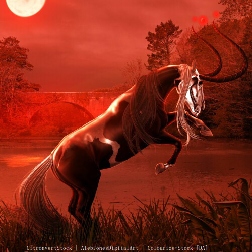 https://horseeden.com/horse.php?id=38950014