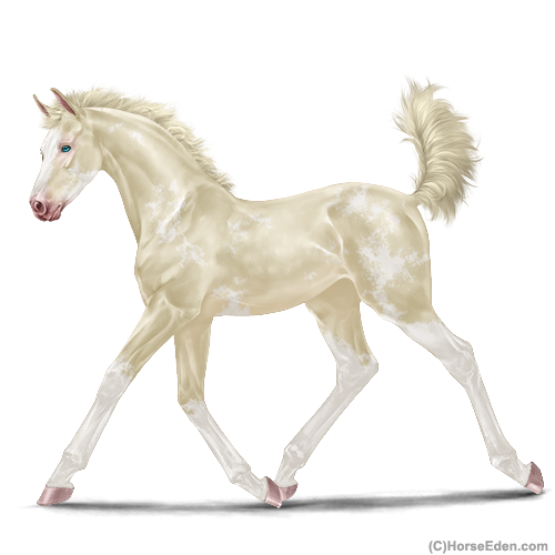 genpic.php?id=44404852&bg=1000&decor=Y&v=3