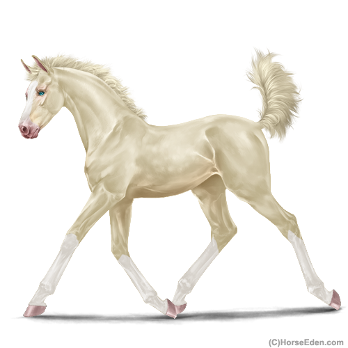 genpic.php?id=44405022&bg=1001&decor=Y&v=1
