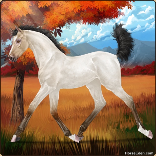 genpic.php?id=44963081&bg=1001&decor=Y&v=12