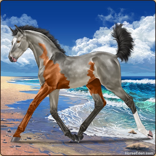 A grullo chimera foal.