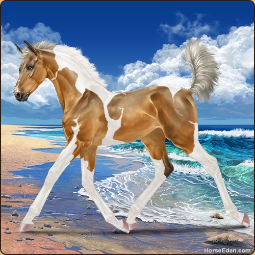 A silver wild bay tobiano foal.