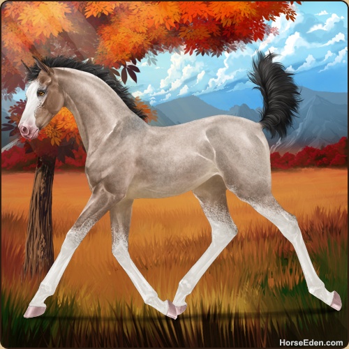 genpic.php?id=45277570&bg=1001&decor=Y&v=3