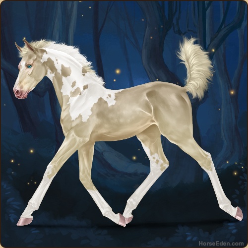 A cremello tobiano foal trotting.