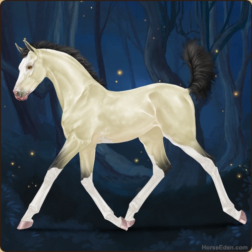 A buttermilk buckskin foal trotting.