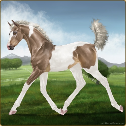 genpic.php?id=43792142&bg=56&decor=Y&v=1