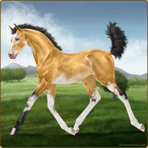 genpic.php?id=43844210&bg=56&decor=Y&v=7