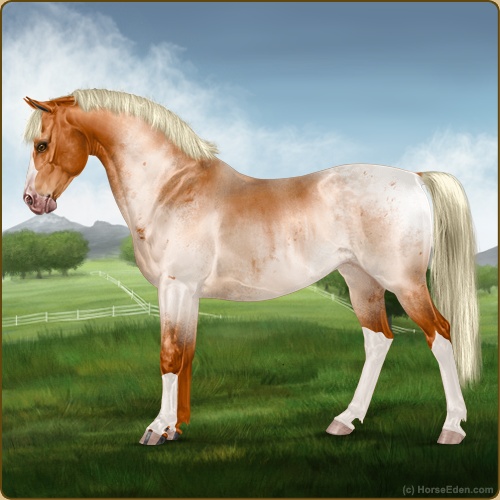 genpic.php?id=44042532&bg=56&decor=Y&v=12