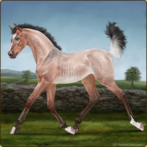 genpic.php?id=44253467&bg=60&decor=Y&v=9