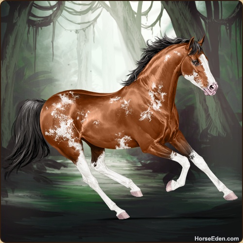 genpic.php?id=44056866&bg=79&decor=Y&v=23