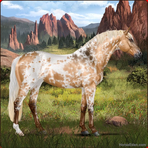 Hadar image