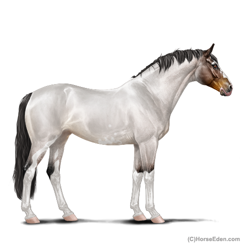 genpic.php?id=22983480&nobg=Y&decor=Y&tm=1634408671