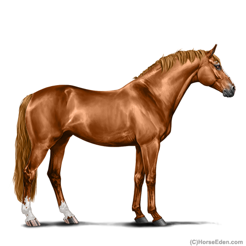 genpic.php?id=27022838&nobg=Y&decor=Y&tm=1634408885