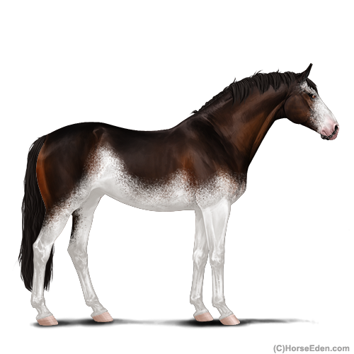 genpic.php?id=27022863&nobg=Y&decor=Y&tm=1634408987