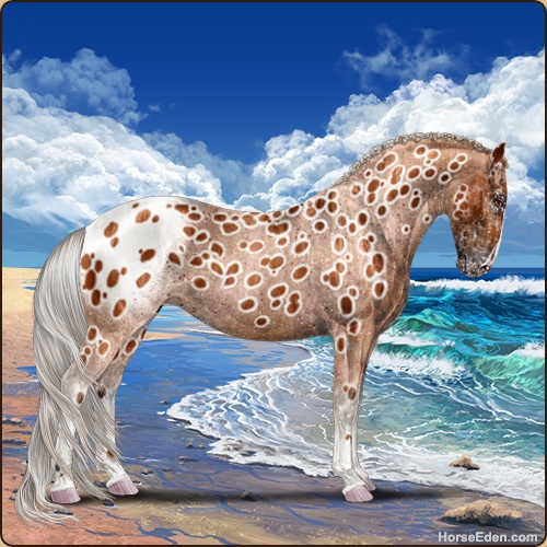 genpic.php?id=41585067&bg=128&decor=Y&v=2